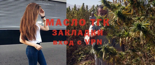 дмт Ельня