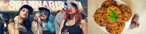 дмт Ельня