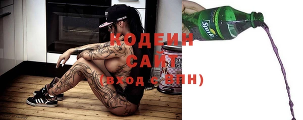 дмт Ельня
