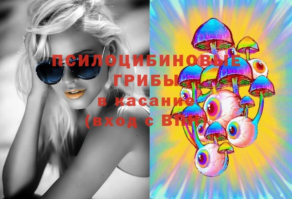 дмт Ельня