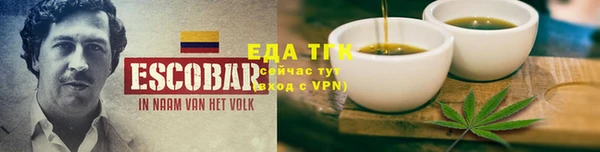 дмт Ельня