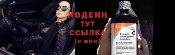 дмт Ельня