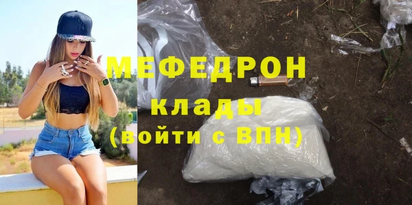 дмт Ельня