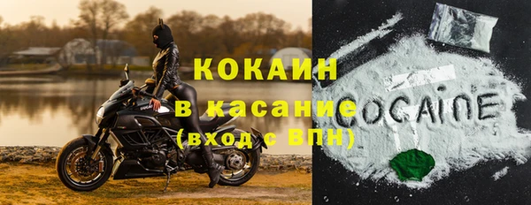 дмт Ельня