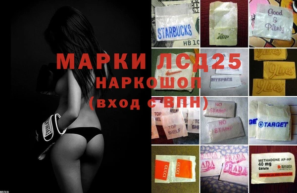 дмт Ельня