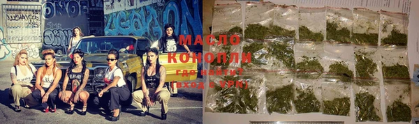 дмт Ельня