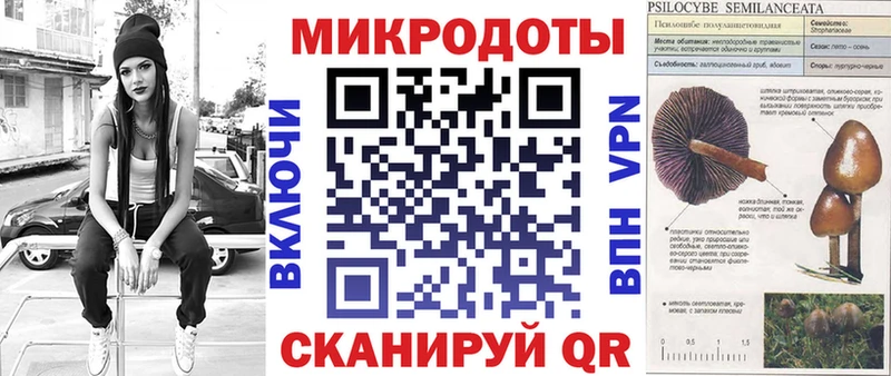 Купить где  Заринск  Псилоцибиновые грибы Psilocybine cubensis 