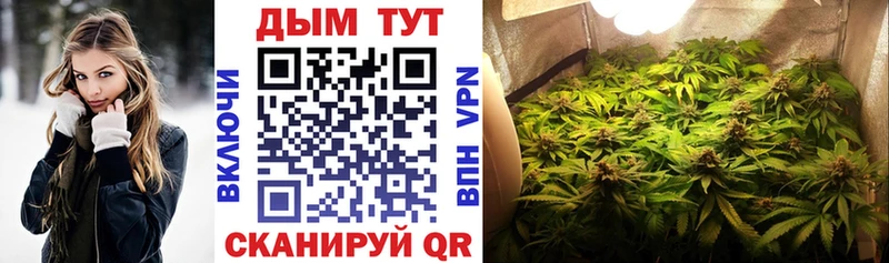 Каннабис THC 21%  Купить закладки  Заринск 